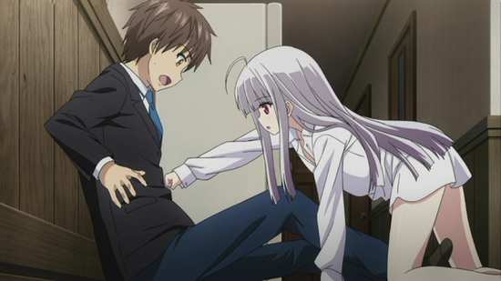  Review for Absolute Duo