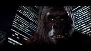 Preview Image for Screenshot from King Kong: The Legend Reborn