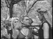 Preview Image for Screenshot from Viking Women And The Sea Serpent