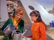 Preview Image for Screenshot from Lost In Space: Season 2