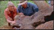Preview Image for Screenshot from Jurassic Park / The Lost World / Jurassic Park 3