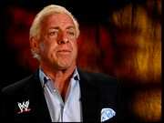 Preview Image for Screenshot from WWE: Ric Flair and the Four Horsemen (2 Discs)