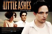Preview Image for Little Ashes hits the Cinema in May