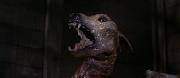 Preview Image for The Thing (UK) (DVD) The Dog-Thing