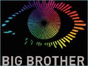 Preview Image for Big Brother Logo