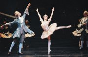 Preview Image for Image for Tchaikovsky: The Sleeping Beauty (Royal Ballet - 1994)