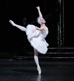 Preview Image for Image for Tchaikovsky: Swan Lake (Royal Ballet - 2009)