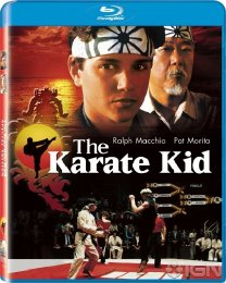 Preview Image for Image for The Karate Kid