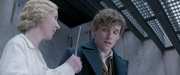 Preview Image for Image for Fantastic Beasts and Where To Find Them