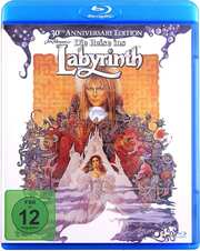 Preview Image for Labyrinth